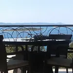 Oleandra דראגה