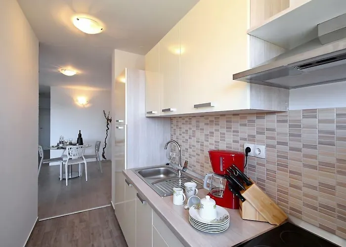 Oleandra * ドラゲ